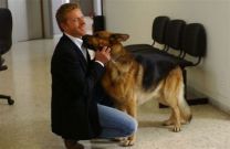 https://www.showbiz.cz/public/files/gallery/thumb/a1/a1d589903553fa72bd692cf55bc73bb61312560851_new.jpg
