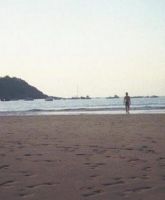 profil